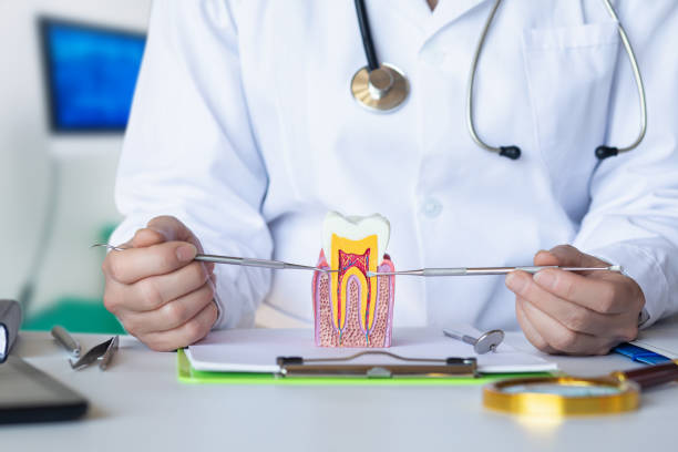 Best Chipped Tooth Repair Near Me  in Glassmanor, MD